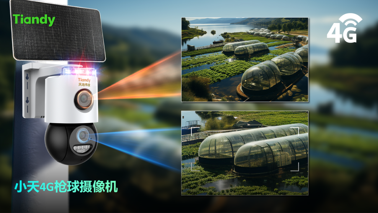 ks��ʱ��վ��(�й���)�ٷ���վ