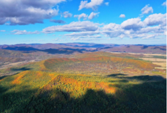 ks��ʱ��վ��(�й���)�ٷ���վ