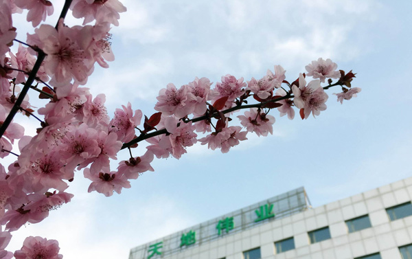 ks��ʱ��վ��(�й���)�ٷ���վ