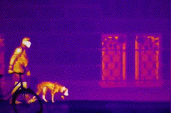 ks��ʱ��վ��(�й���)�ٷ���վ