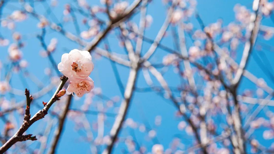 ks��ʱ��վ��(�й���)�ٷ���վ