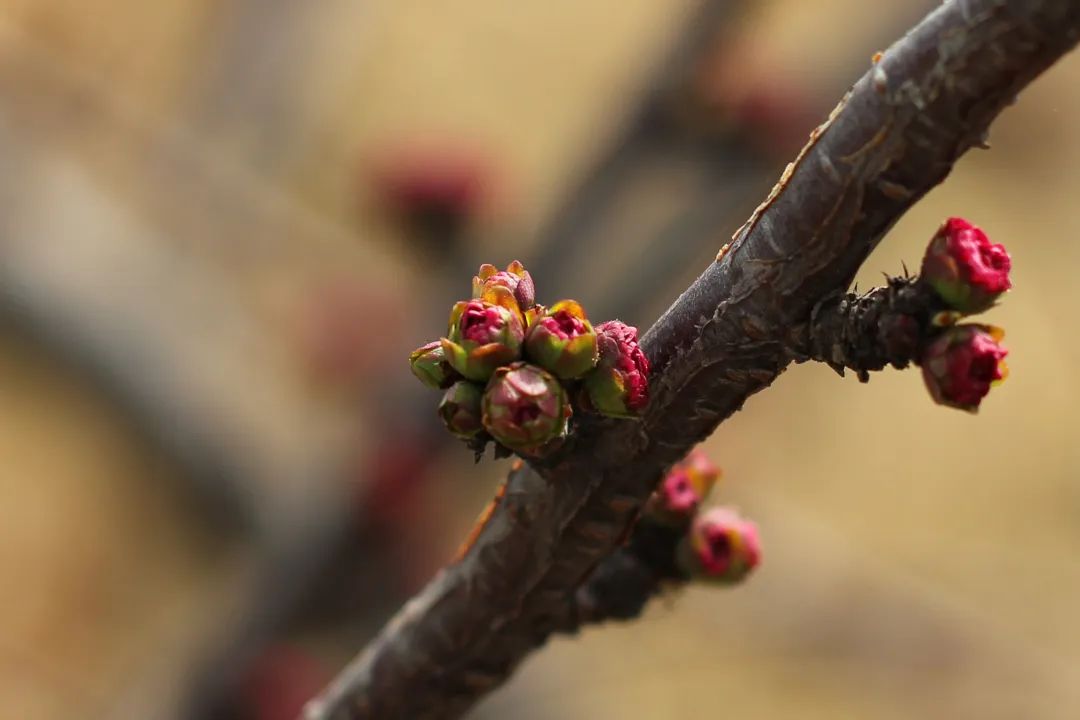 ks��ʱ��վ��(�й���)�ٷ���վ