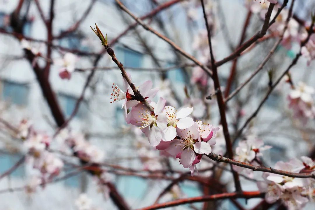 ks��ʱ��վ��(�й���)�ٷ���վ