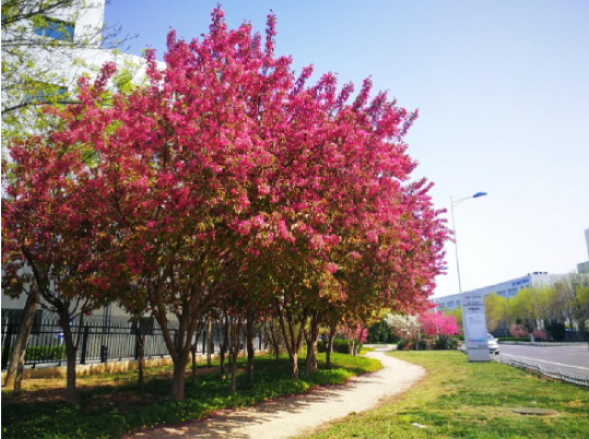 ks��ʱ��վ��(�й���)�ٷ���վ