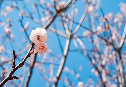 ks��ʱ��վ��(�й���)�ٷ���վ