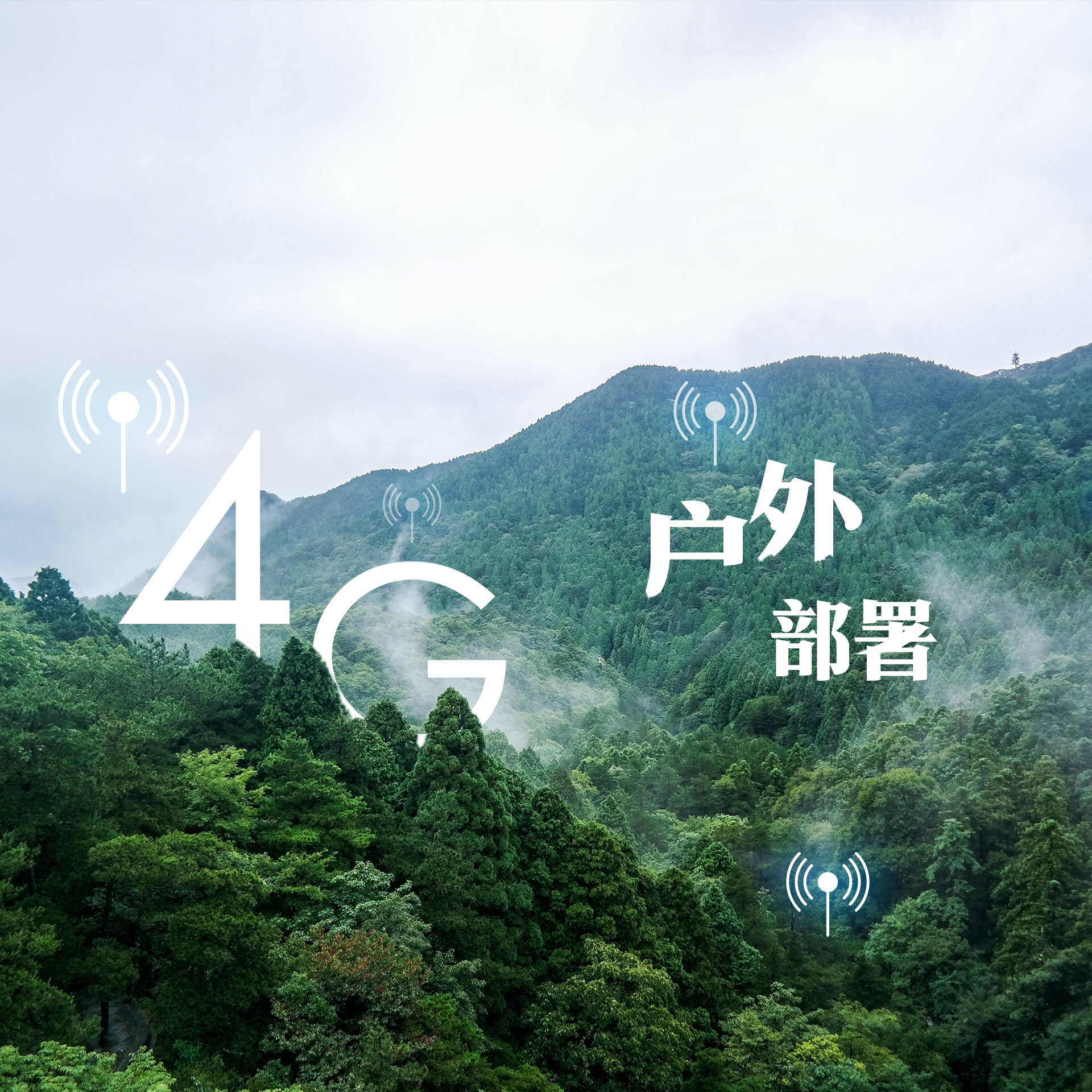 ks��ʱ��վ��(�й���)�ٷ���վ